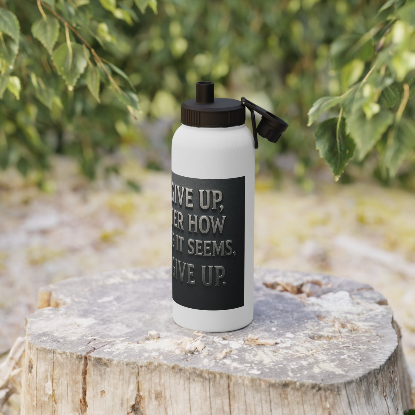 Stainless Steel Motivational Water Bottle - Sports Lid, Inspirational Drinkware, Fitness Gift, Custom Hydration Flask, Adventure [...]